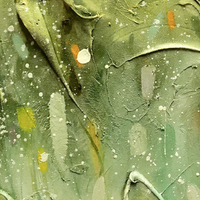 Tadpoles